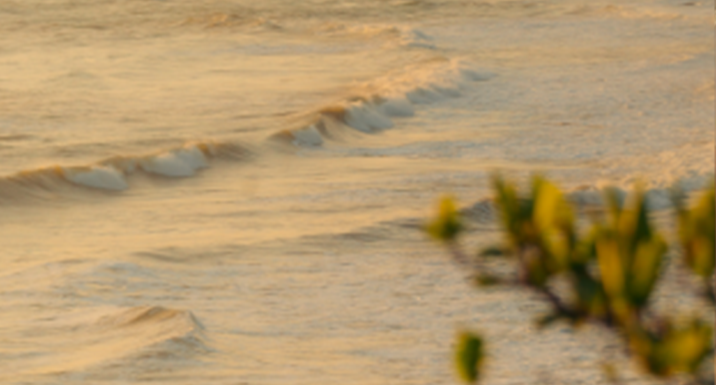 Trustworthy and Transparent